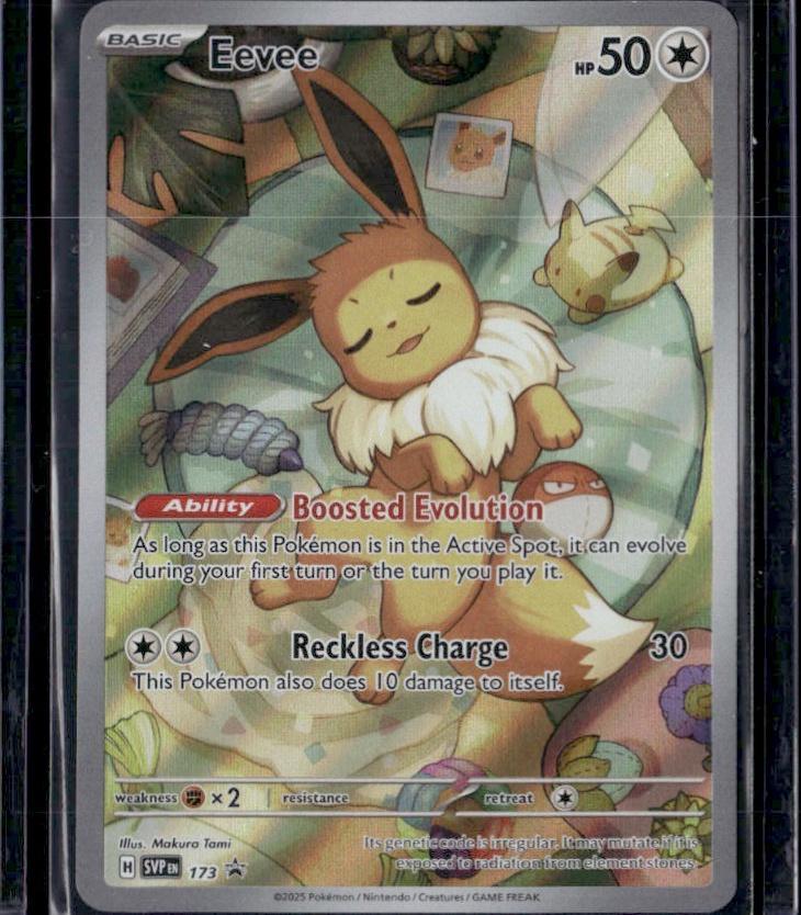 SV: Scarlet & Violet Promo Cards #173 Eevee